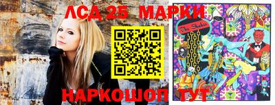 ПСИЛОЦИБИНОВЫЕ ГРИБЫ Нальчик