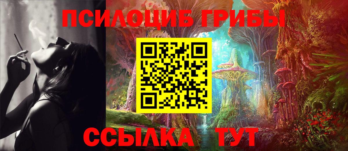 Псилоцибиновые грибы Psilocybine cubensis  Вход с VPN  Ставрополь 