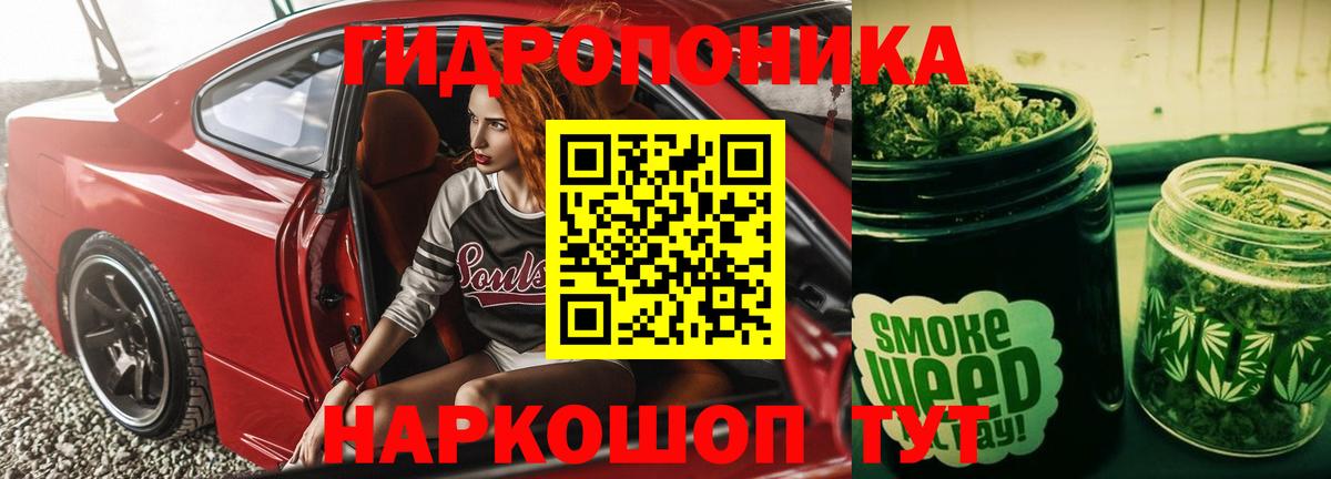Шишки марихуана Bruce Banner  Вход с VPN  Ставрополь  Шишки марихуана план  Марихуана гибрид  Бошки марихуана Bruce Banner 